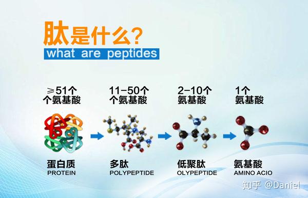 肽的价格 zhuanlan.zhihu.com