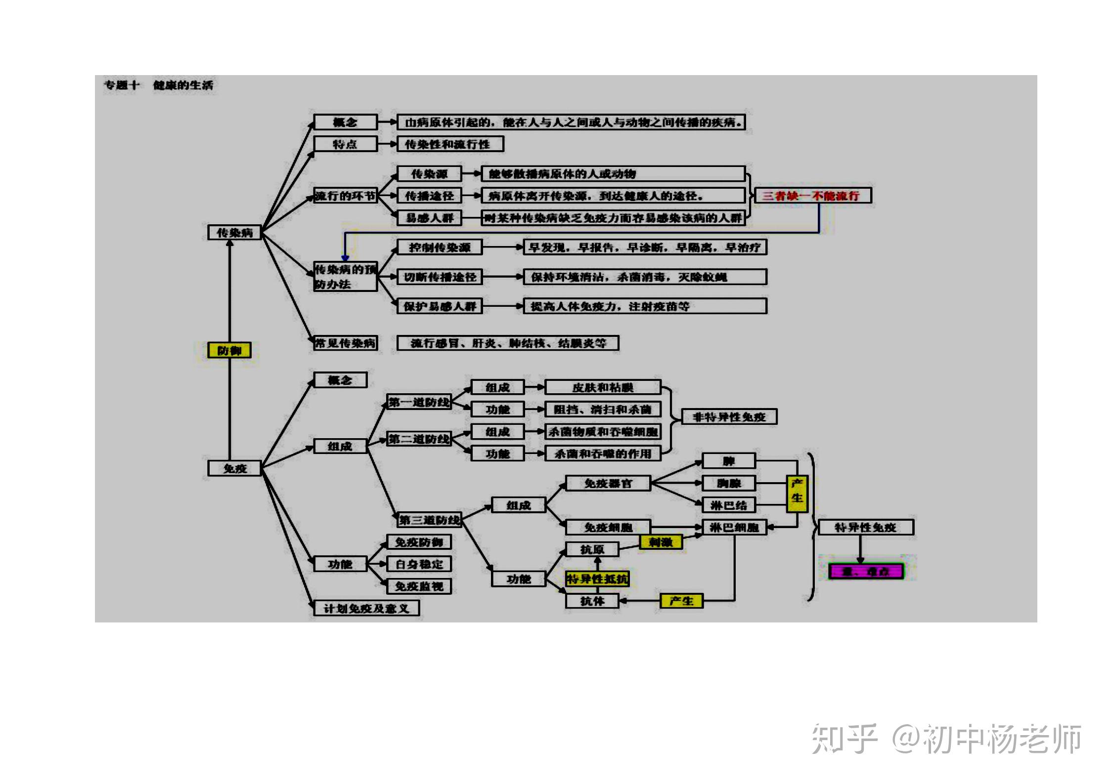 初中生物知识点思维导图