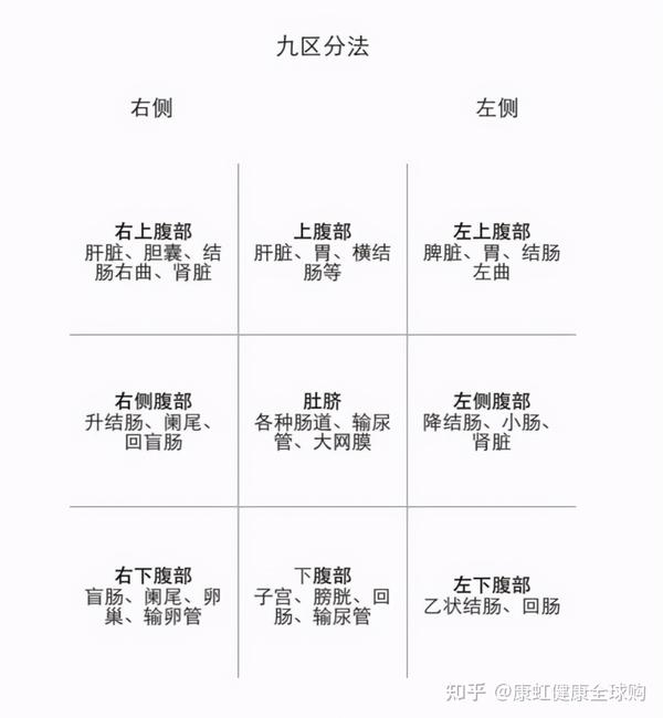 九分法将人体腹部划分为9个部分.