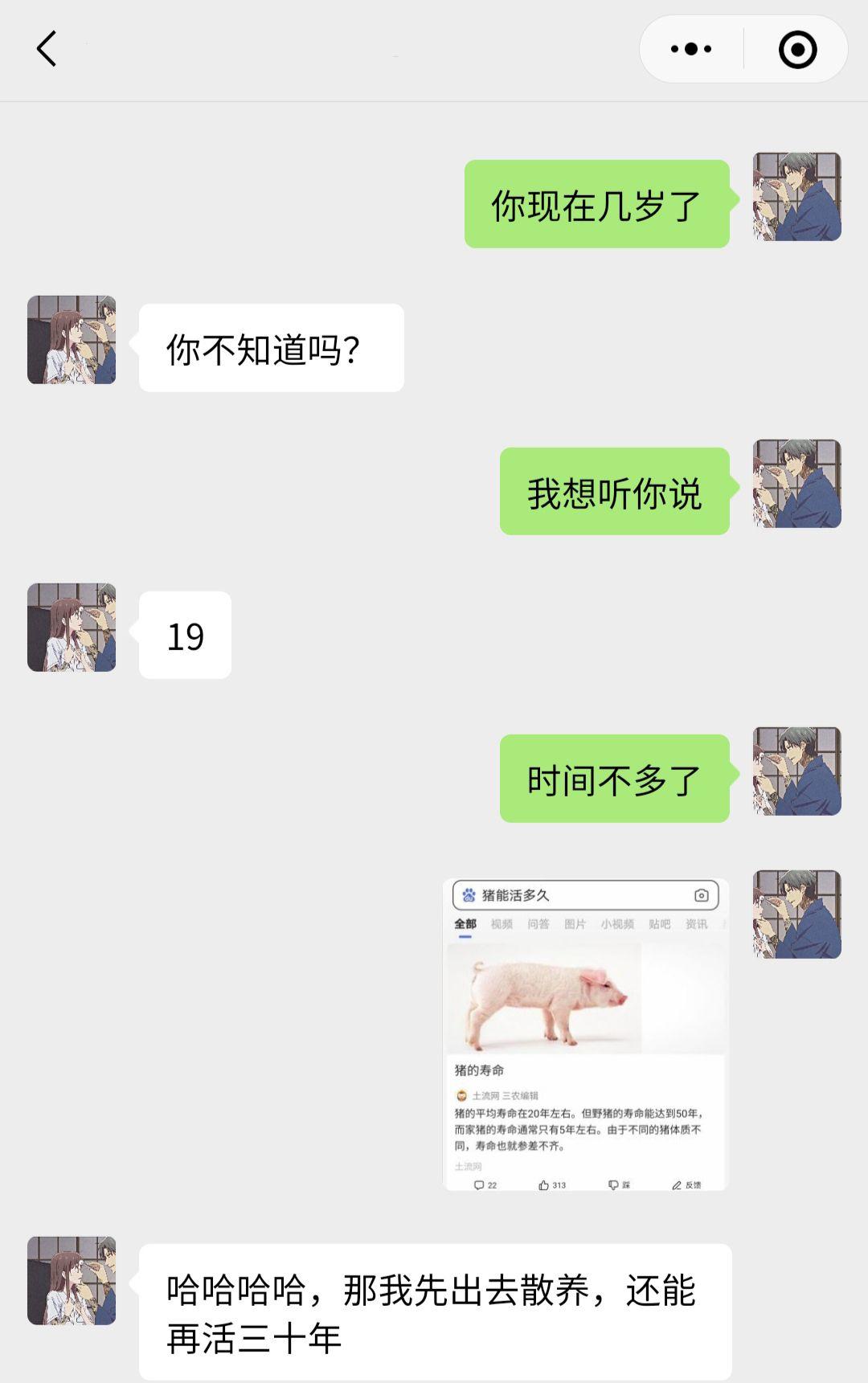 有什么一套一套的表情包可以在聊天时套路对方