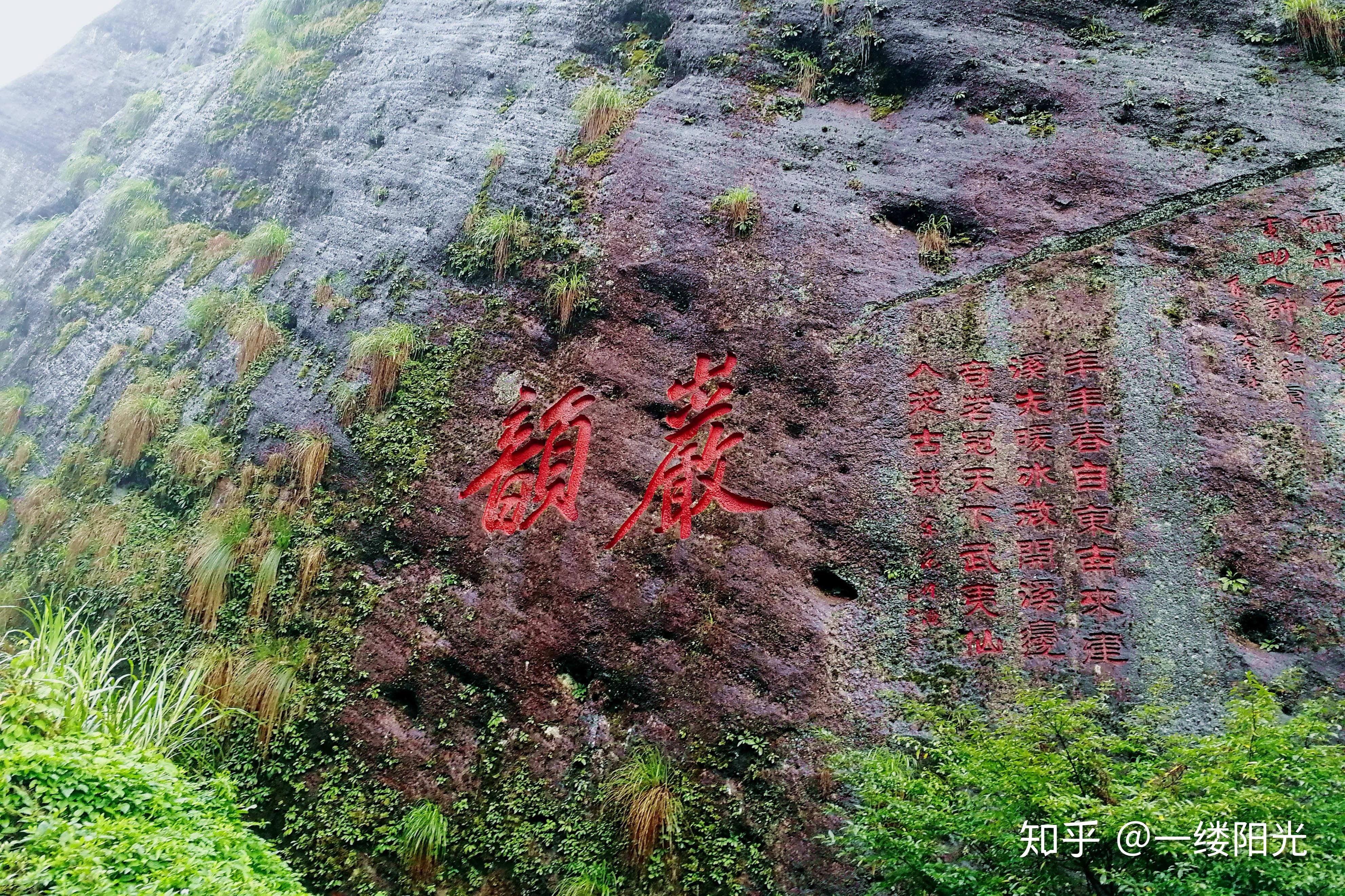 武夷山正岩岩韵如何辨别 知乎