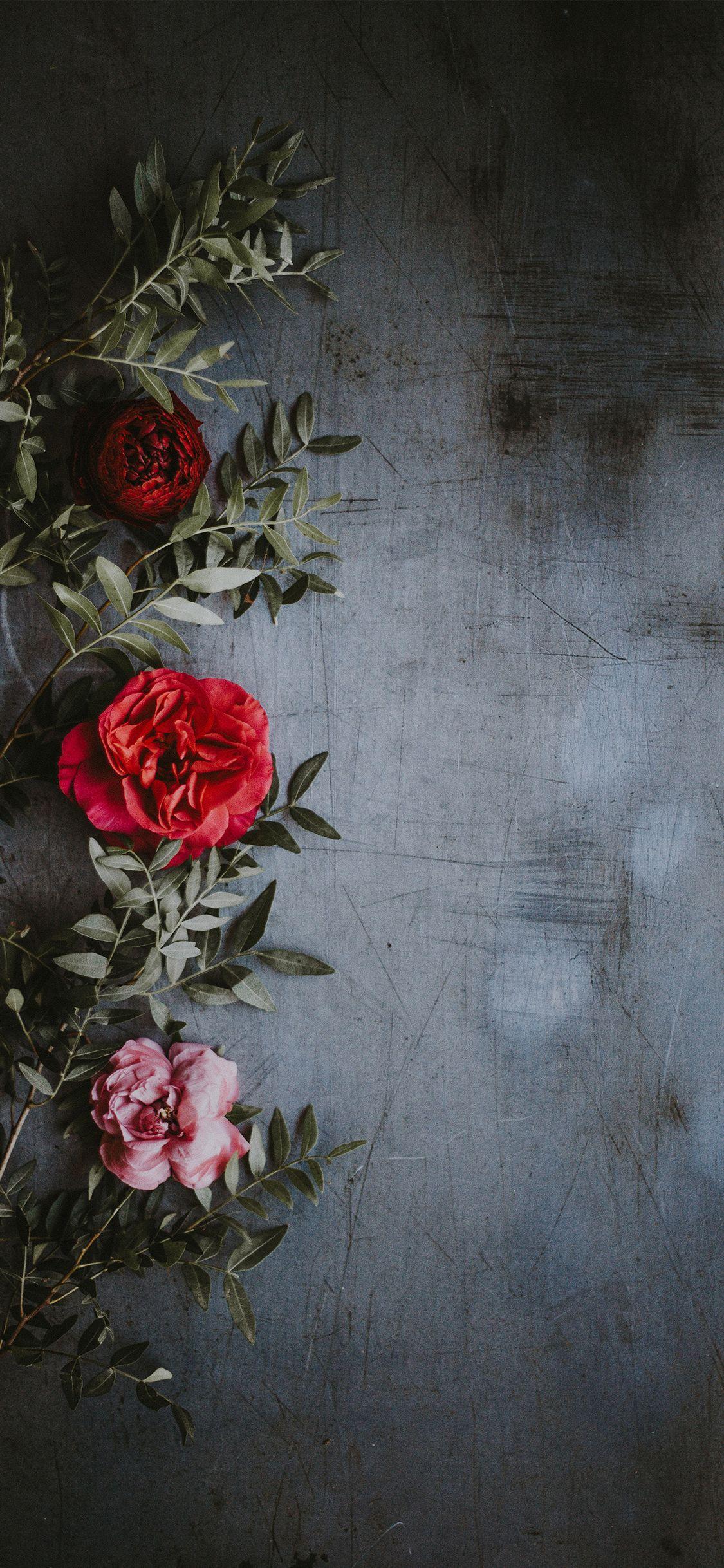 大家有没有那种有点模糊和复古风的玫瑰花壁纸啊?