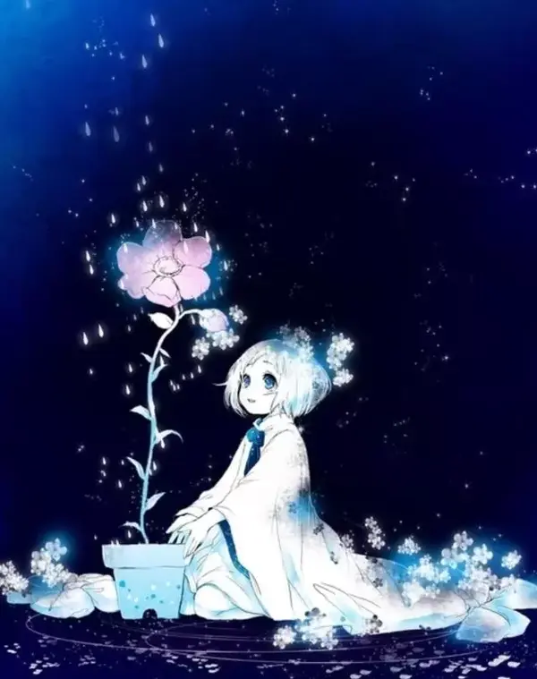 唯美动漫:梦幻的夜空中有一颗星星化作了小精灵!