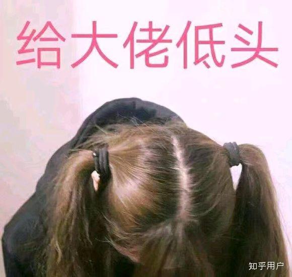 我给您跪下了.
