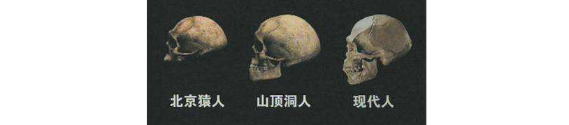 山顶洞人属于什么石器时代