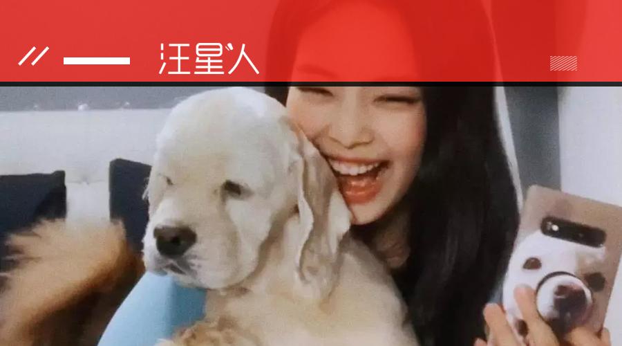 女星带狗直播被骂丑,她霸气开怼:你最丑!