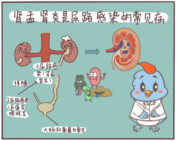 开着车,唱着歌,行驶在这无人区上,是多少男人的梦想