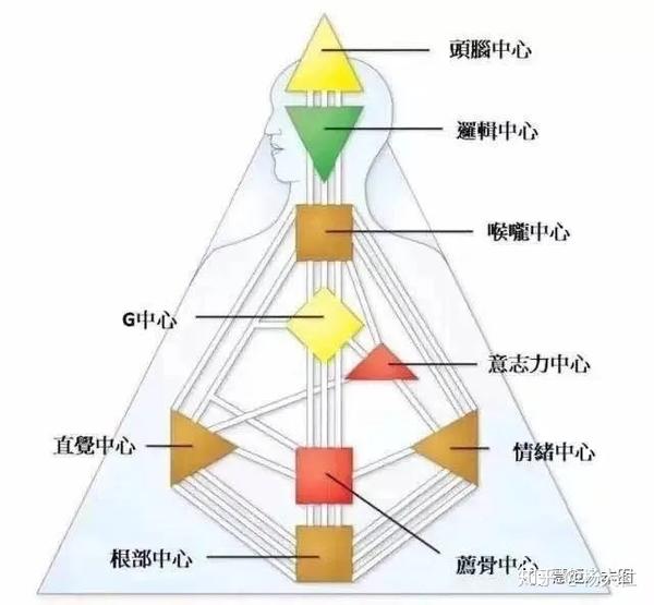 人生说明书里的五大类型是根据能量中心是否被定义来区分的.