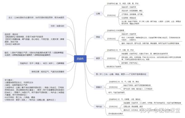 中药学 思维导图分享