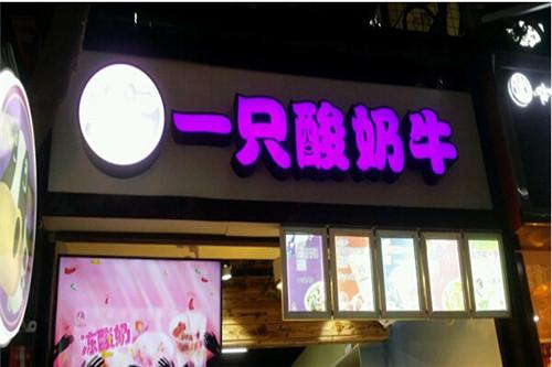 一只酸奶牛加盟有多少是真的?