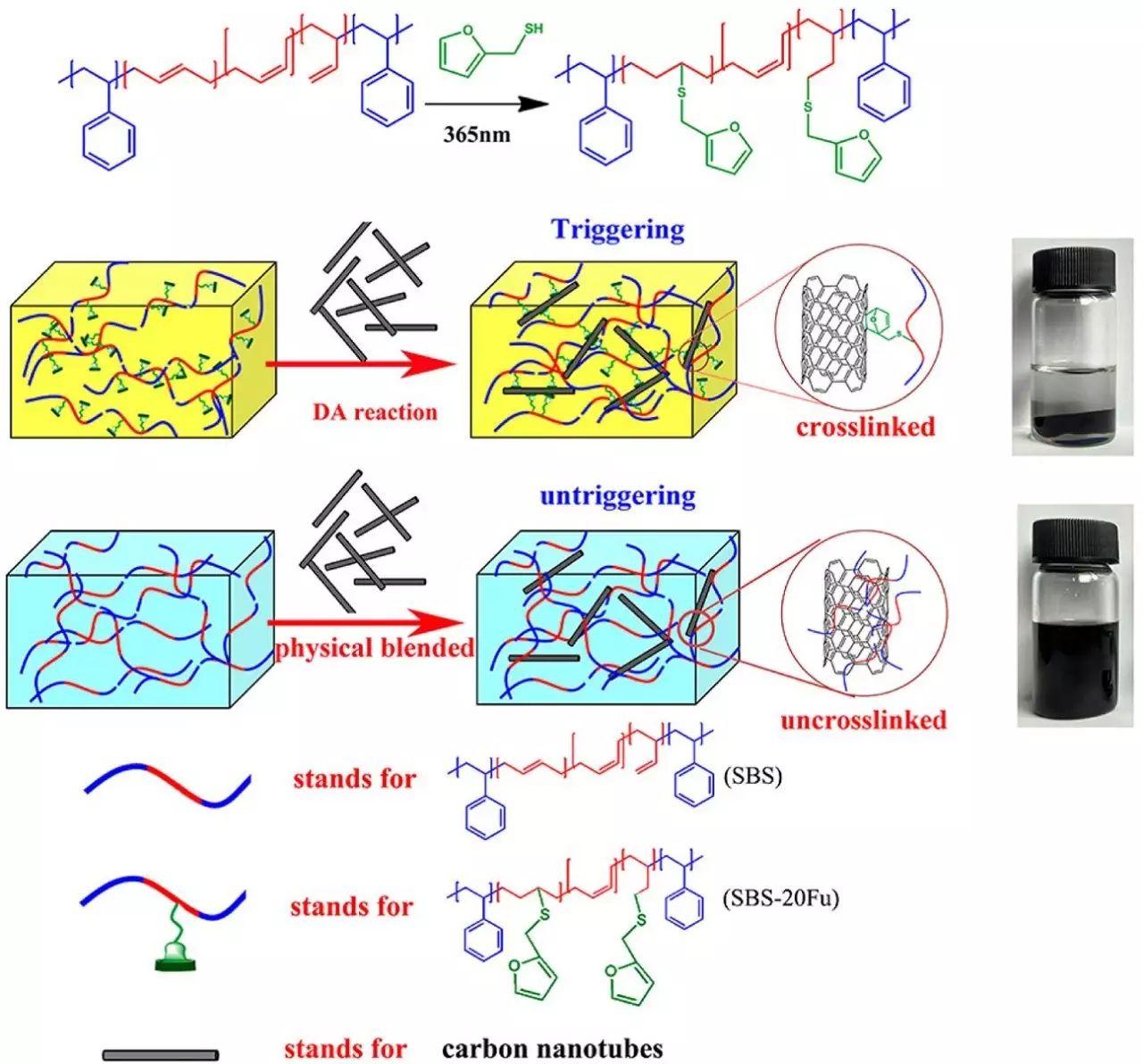 碳纳米管和基体呋喃接枝sbs之间的diels-alder动态交联结构及其光热