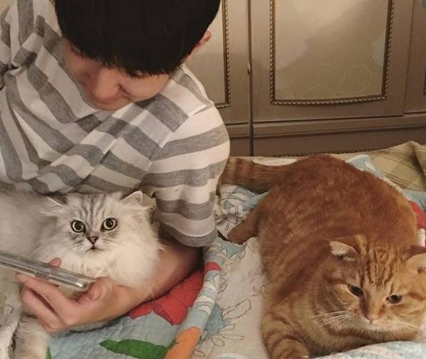 微博上那些超高人气的网红猫,背后真实的生活竟然是这样的?