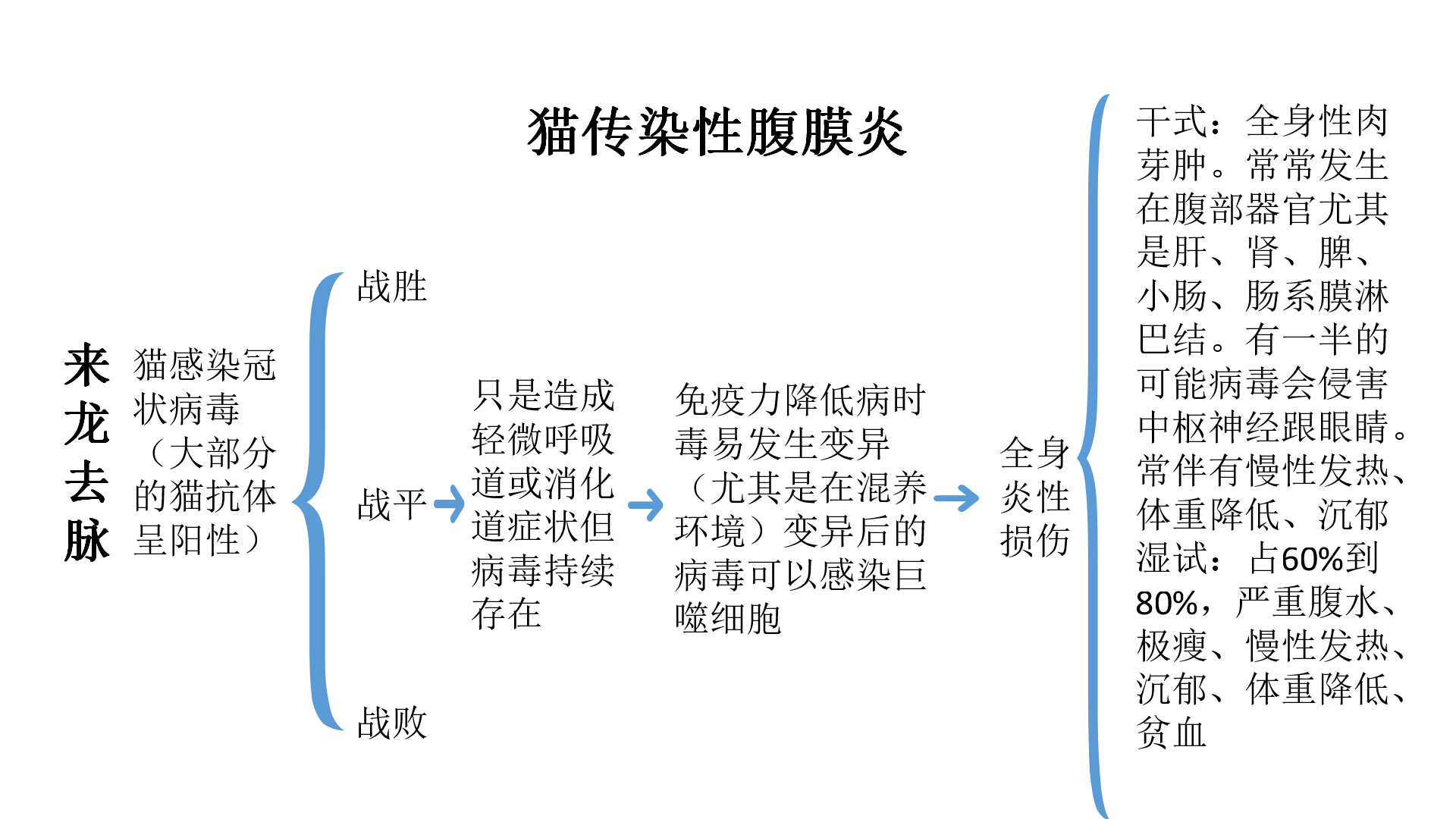 猫传染性腹膜炎10