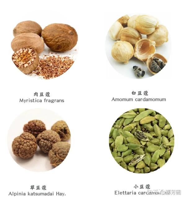 肉豆蔻灵与肉的异空间法系芳疗肉豆蔻精油芳香疗法