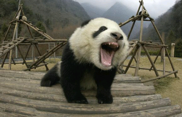 微信头像会影响第一印象吗?