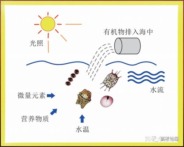 3.赤潮产生的危害