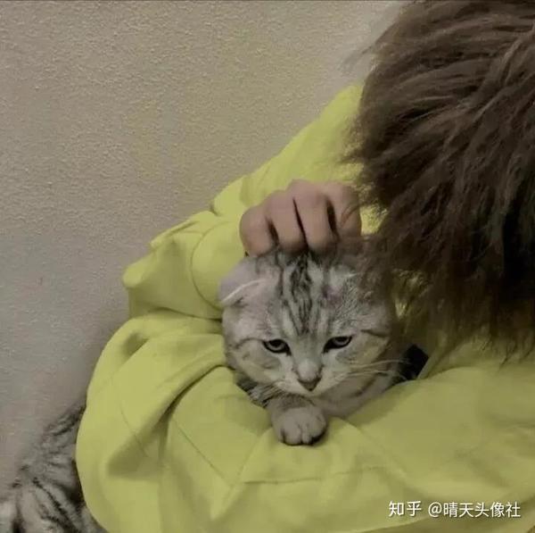 有哪些很耐看的猫系男生头像?