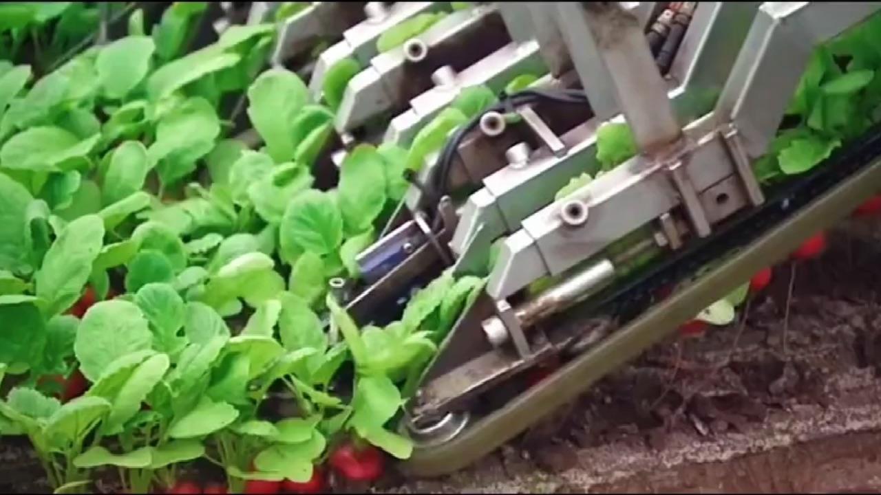 堪比科幻大片的草莓采摘机器人是如何工作的?对于我们