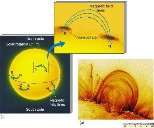 太阳表面附近的黑子对和磁力线,日珥一般就生成于此种突出的磁力线上