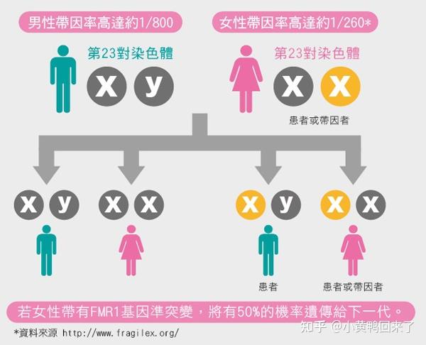 弟弟均患有不同程度的先天智力障碍请问家族是否可能有脆性x综合征