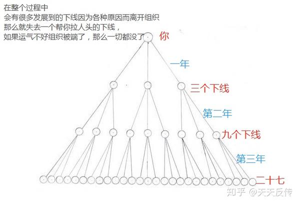 传销解码十:" 几何倍增学 "解读!