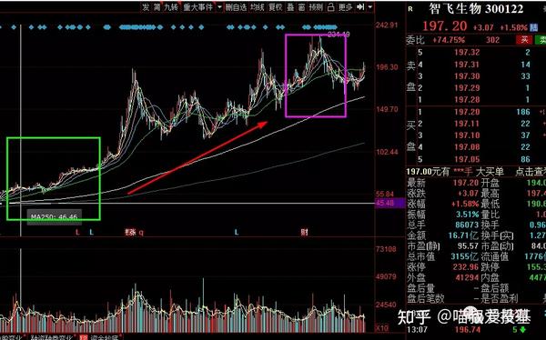 智飞生物这只股票是在2020年第二季度进入富国天惠的前十大持仓的