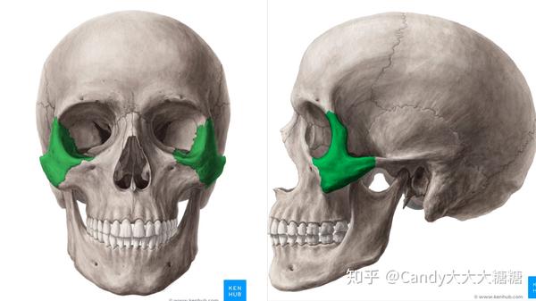 关注颧骨手术-手术方法总结分析(截骨方式/固定方法/是否下垂)