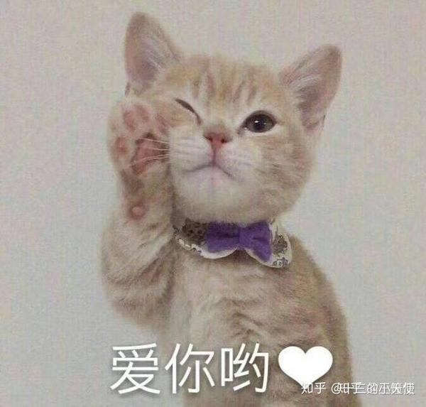 有哪些沙雕表情包