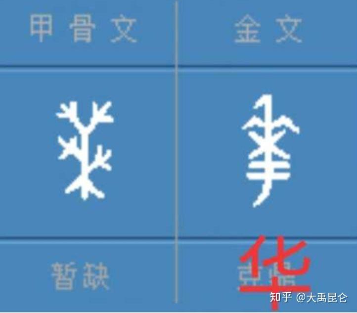 "华"字甲骨文,金文,小篆象形图形如下:1.