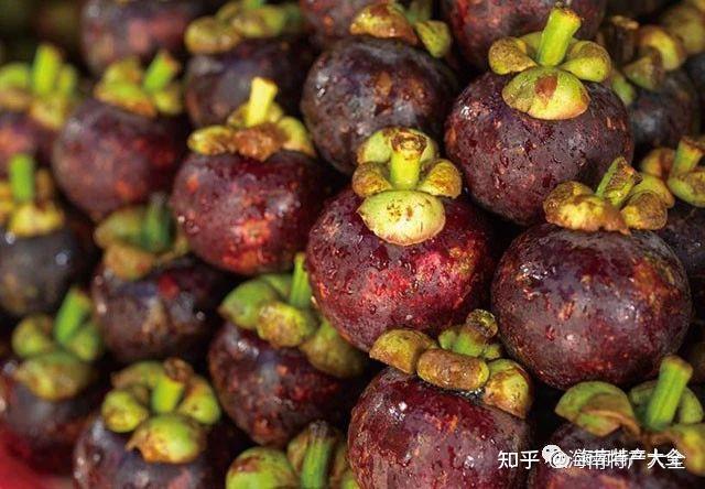 海南热带水果全介绍第1篇