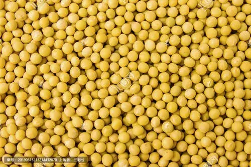 豆家族黄大豆1号期货豆一期货保证金手续费需要多少