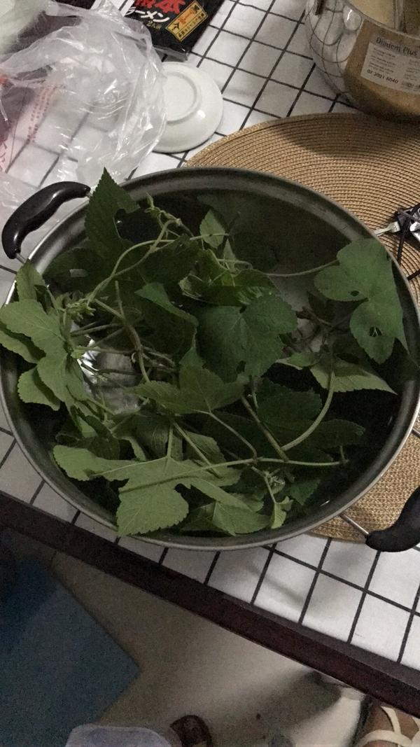 主管阿姨原来也长这种水泡,后来她的中医亲戚让她用拉拉藤煮水泡脚泡
