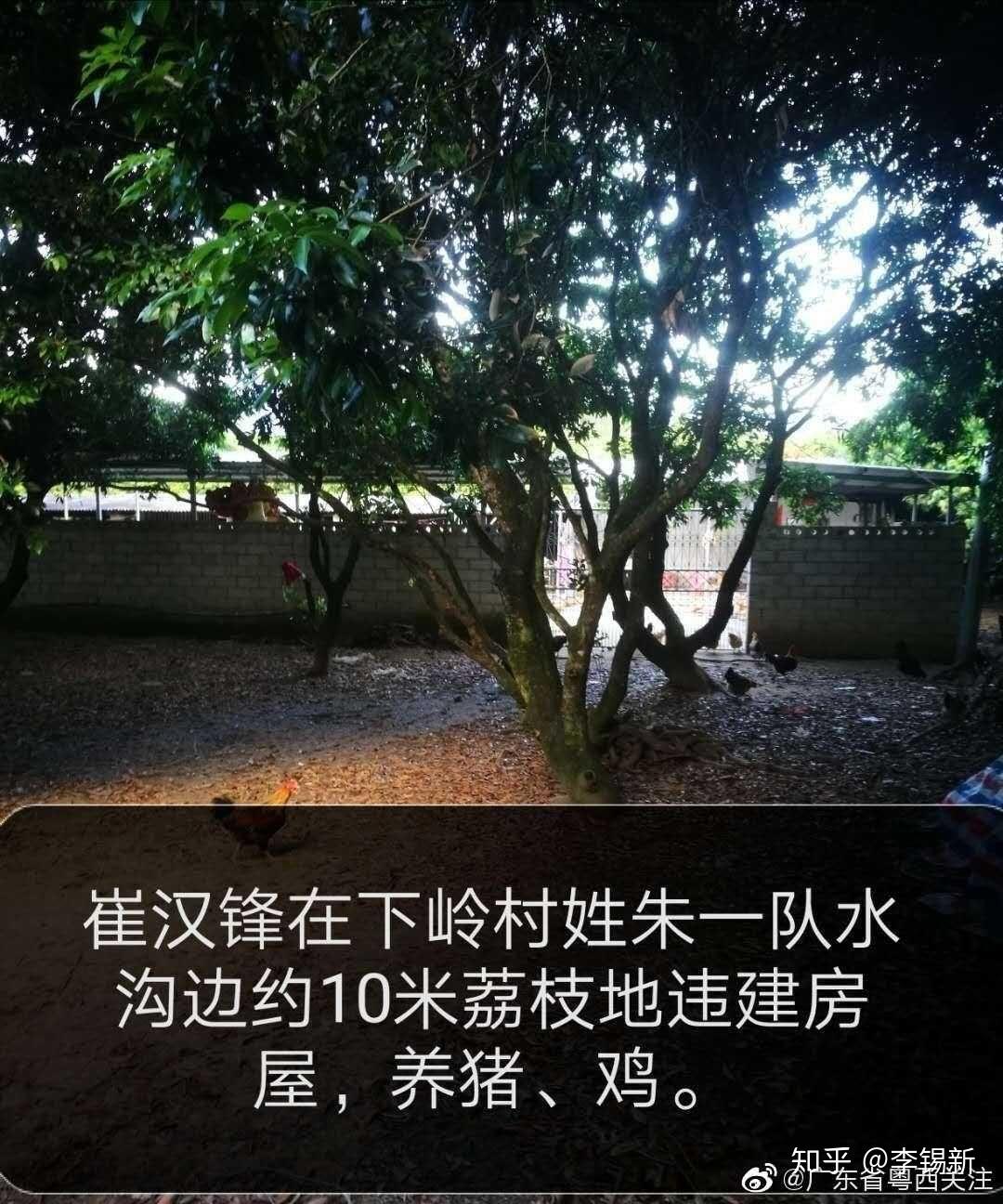 朱清锋失职渎职