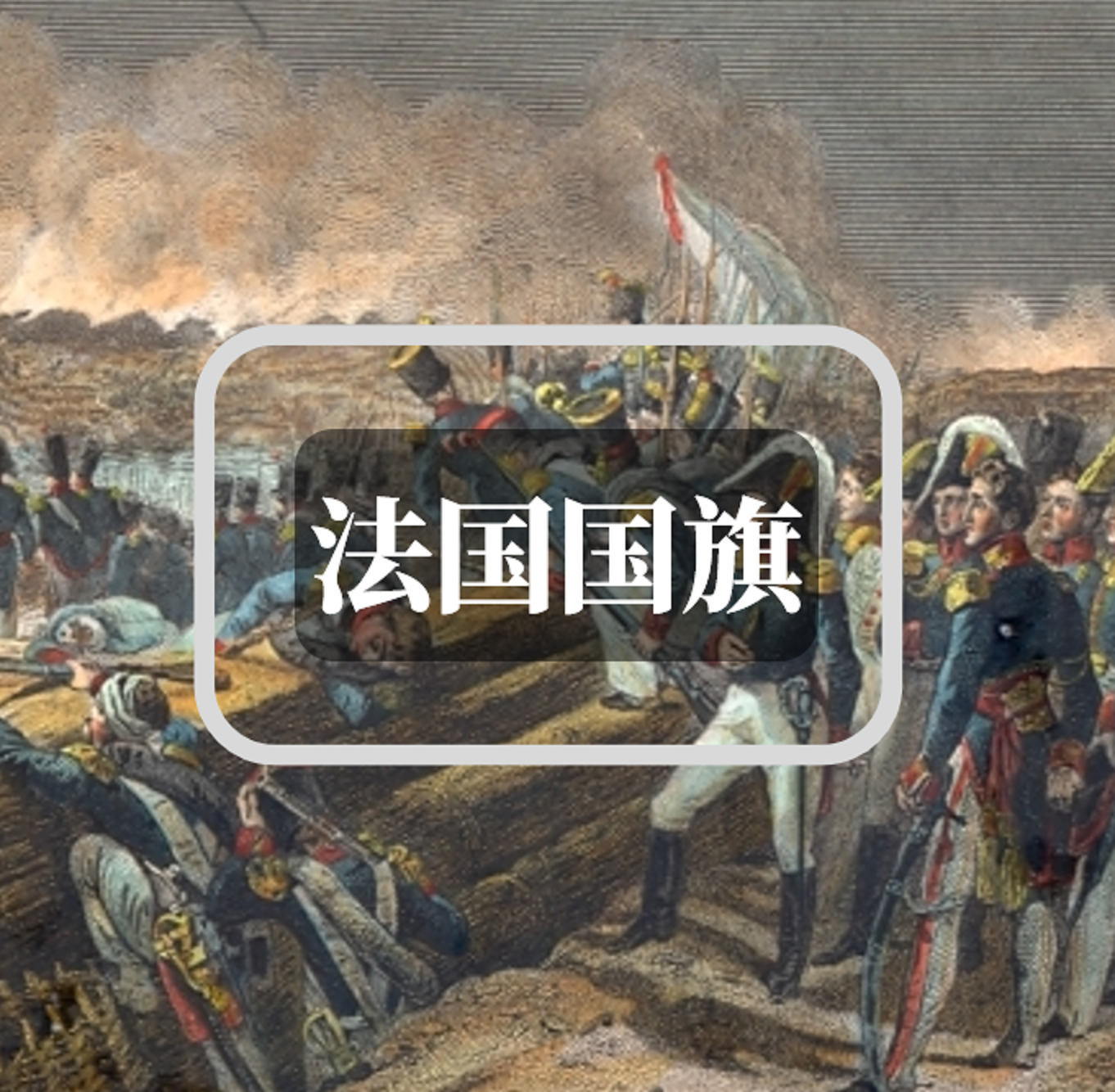 法国波旁复辟时代1814181518151830的国旗是纯色白旗吗