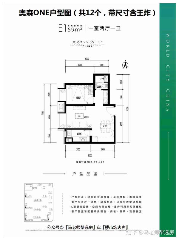 马老师奥森one户型图均带尺寸含最新王炸户型