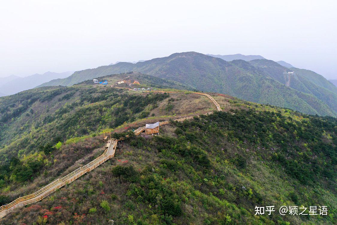 桃源尖六春湖杜鹃花海浙江第一索上山更轻松