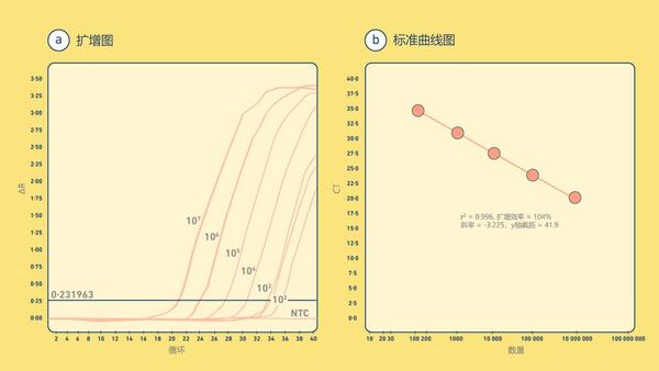 技术一文读懂聚合酶链式反应PCR 知乎