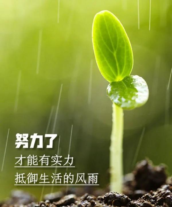 2021逆境中激励自己的句子,句句走心,温暖心窝