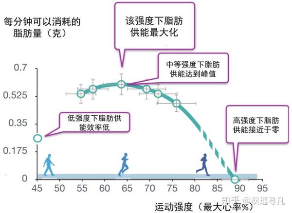 究竟多大的运动量,运动多久才开始消耗脂肪?