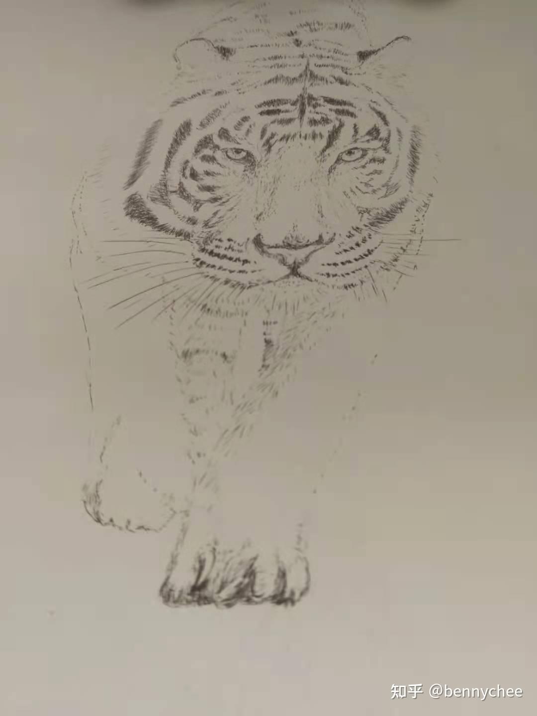 心无猛虎,安静如处子,心不浮躁,可以一笔一笔画出自己认为美的东西