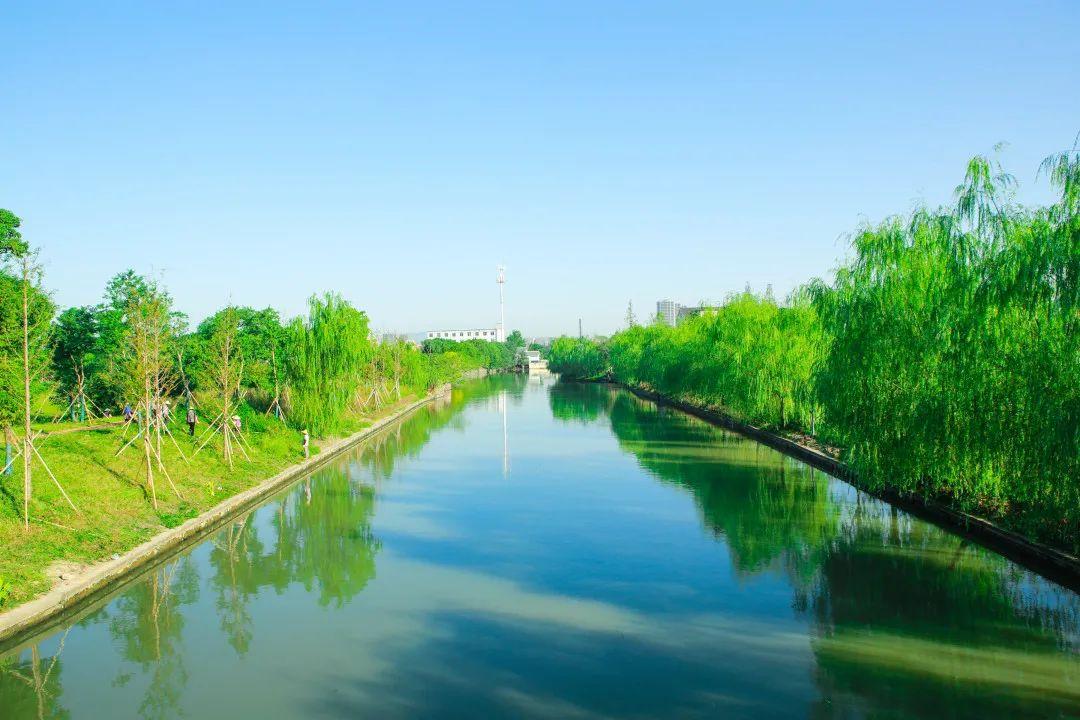 探索水生态修复新路径9杭州市西湖区创新河湖生态缓冲带兰里水乡迈入