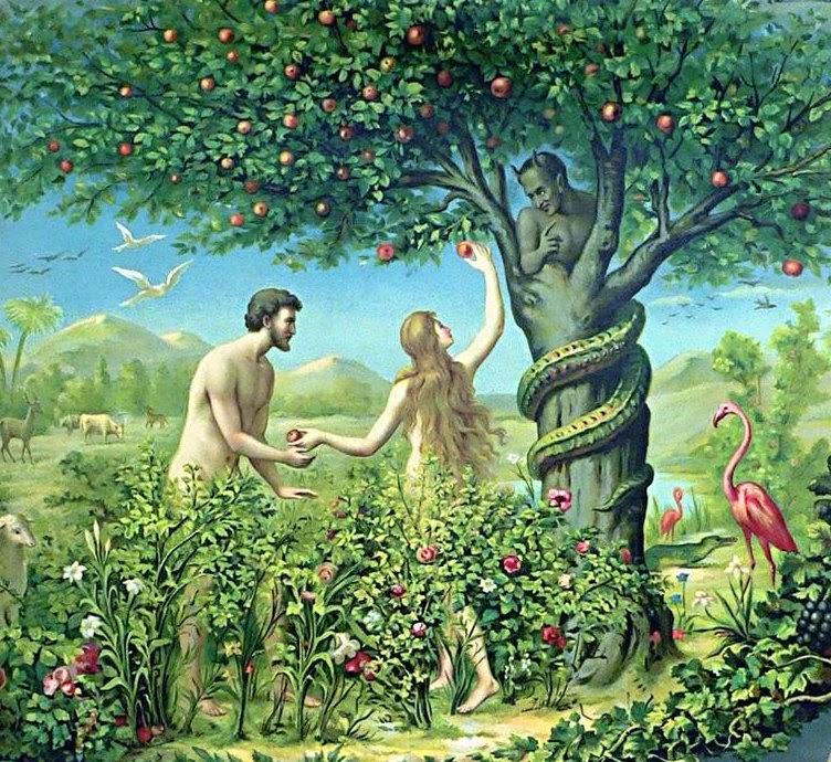 但亚当夏娃的反应却是: 哎呀,好羞耻啊,赶紧找一些树叶来遮一遮吧.图片