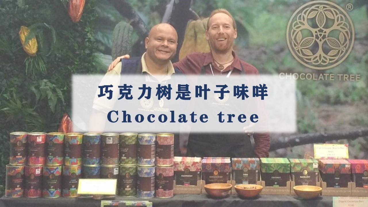 单身吗来点绿色巧克力拥抱树巧chocolatetree巧克力测评