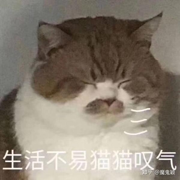 生活不易,继续努力
