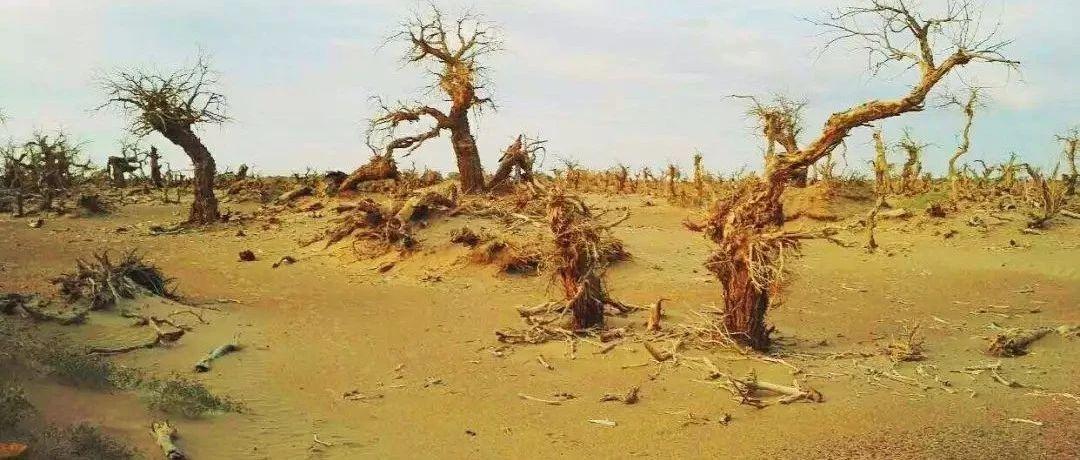 这样的现状说明,我们距离中华民族伟大复兴任重道远,距离全面建设小康