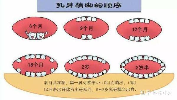 孩子换牙期间要注意的6件事