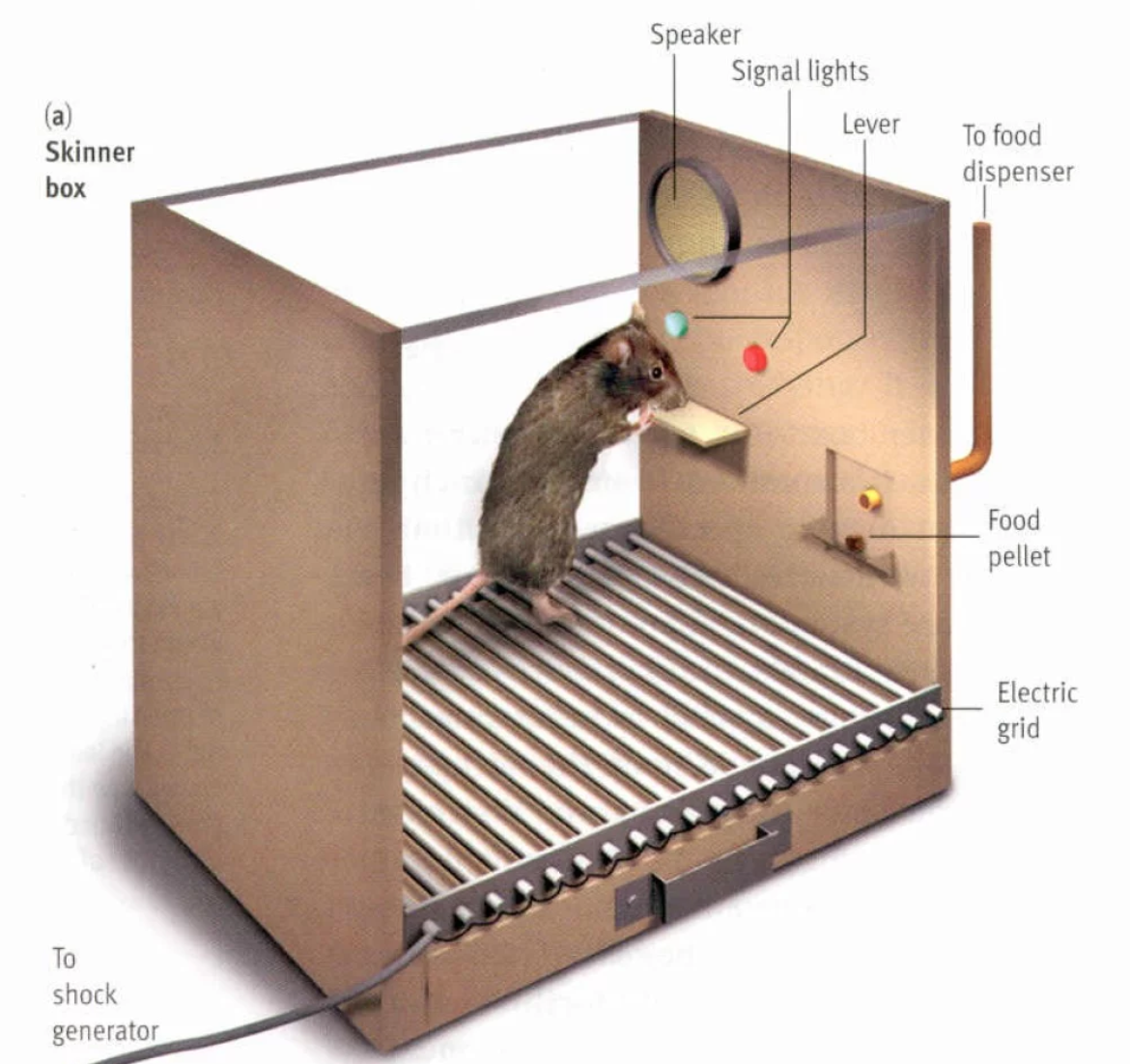 内容extra credits的2012年视频文案 视频标题:the skinner box - how