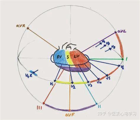 心脏医生的硬核科普但愿君心似我心