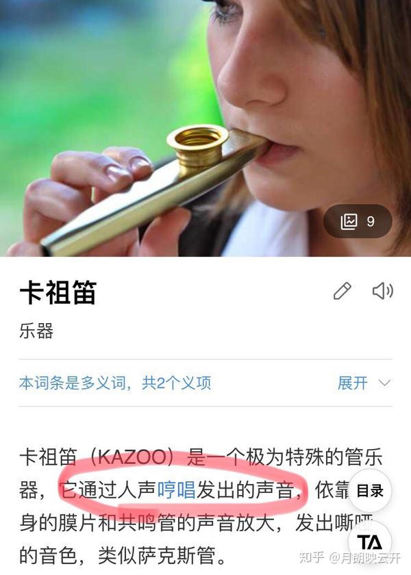 个人认为最好学的乐器是卡祖笛,没有任何学习过程,拿到嘴里就可以"