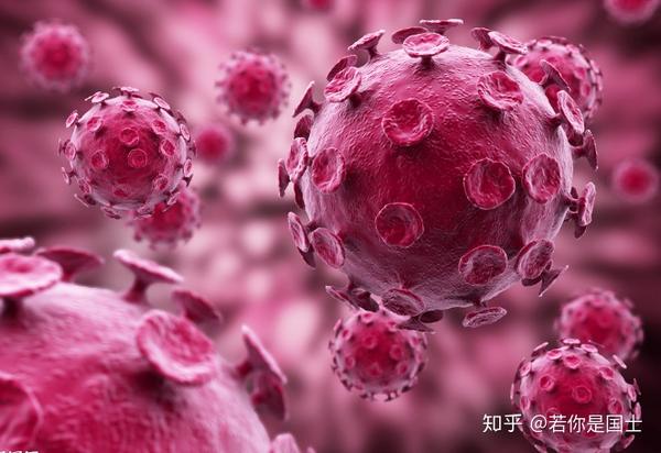 女性检查出感染hpv,如何预防宫颈癌?